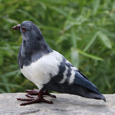 1:1 Lifelike Plush Stuffed Animal Model Figurine Kid Science Nature Toy Pigeon Pigeon Toy Figurine Stuffed Dove Toy