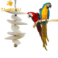 Newest Cuttlefish Bone Bird Toy Parrot Chew Toy Calcium Molars Squirrel Bite Molars Hanging Biting String